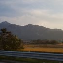 가우도 힐링펜션 이미지