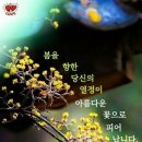 행복한3월 이미지