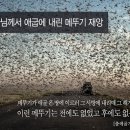 ＜출애굽기 맛집＞17. 여덟번째 재앙, 메뚜기 떼가 이집트로 몰려오다!(출애굽기 10장 12절) 이미지