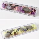 즐거운드라이세상 이미지