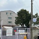 창원애견카페 우미유펫카페 도심속에 있는 천연잔디 애견운동장