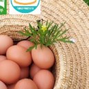 청미래농장 이미지