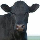 가우 pc방 이미지