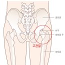 에스더필라테스 - 용인시 수지구 신봉1로 62 | 에스더필라테스