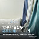 호코농장 | 18주차 임산부 제주도 배 타고 가기, 퀸제누비아호 차량선적 다인침대실 샤워실까지
