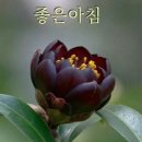 오거리약국 네이버블로그