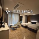 파인포레스트호텔 노래방 | 정선 파인 포레스트 슈페리어 트윈룸 아파트형 호텔 숙박 후기