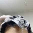 뷰티미용실 이미지