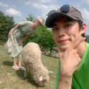 새롬목장 이미지