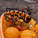 삼일산장 네이버블로그
