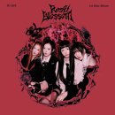 장미꽃사이로 이미지