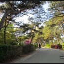 수원-1208 이미지