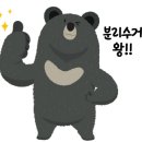 월출산국립공원 천황사야영장 이미지