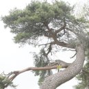 한씨 제각 옆 이미지