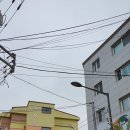 차혜옥 미용그룹 이미지