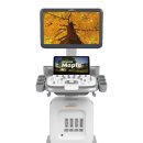 글로벌 송림 이미지