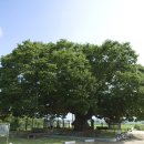 덴버하우스 이미지