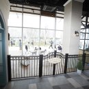 퍼피스쿨 이미지