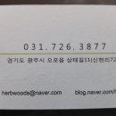 나물숲향기 이미지