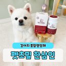 펫츠밀 | 강아지 영양제 펫클럽 한삼인 펫츠밀 노령견영양제