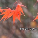 현대시선 밴드 9월의 선정시_비에 젖은 적삼_작사 김기성_작 편곡 수노_기획 윤기영 이미지