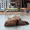 오아시스펜션 이미지