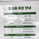 준이농장 | 증평 벨포레 목장 아기랑 나들이, 양몰이 공연과 동물 먹이주기 체험 (21개월 아기)