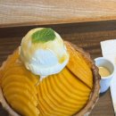 망고카서비스 | 푸꾸옥 선셋타운 카페그린 망고빙수 후기 | 20주 태교여행, 두 번 가서 먹은 찐후기