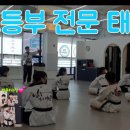 쌍용태권도 이미지