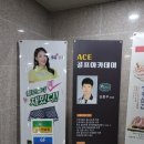 에이스실내스크린