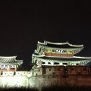 유미사 | 그리움으로 학이 되었네