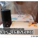 목동디저트 추천｜답례품으로 좋은 복호두 목동파리공원점 앙버터 호두과자 후기