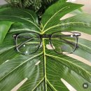 세인트옵티컬 이미지