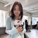 삼전약품 | 송파미용실 추천 무이잠실점 영준디자이너 씨컬펌 받고 왔어요