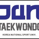 광교 한국체대 준 태권도장 이미지