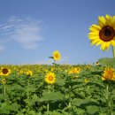 공음농장 이미지