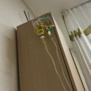 한사랑연합내과의원 | 인계동 내과 방문 한사랑내과 감기 진료 + 수액 치료 ,15년 단골 내과 후기