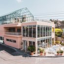 콜린제주