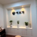 항상,예쁘개 | 예쁘개 보령애견미용 우리 강아지에게 잘 맞았던 세심한 케어 후기