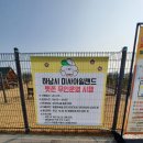 미사아일랜드멍카페 네이버블로그