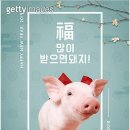 돼지새끼 - 수원시 팔달구 매산로116번길 45 | 돼지새끼