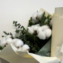 탄생화 | 연말선물로 전한 목화 꽃다발🎁 원모먼트 탄생화 후기