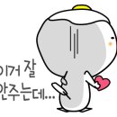 모어샌드위치울산