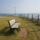 포항시남구65 이미지