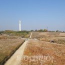 산업단지로옆L 이미지