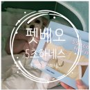 호수펫 | 소형 강아지 하네스 초경량 펫베오 착용 산책후기