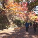 남산공원길3 이미지