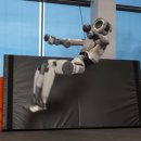 공중제비 이미지