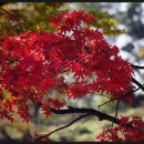 안양민자역사 이미지