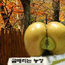 농장사람들 이미지